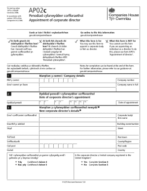 UK Corporate Director Appointment Form