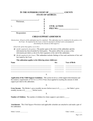 Georgia Child Support Addendum