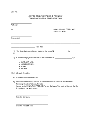 Small Claims Complaint and Affidavit