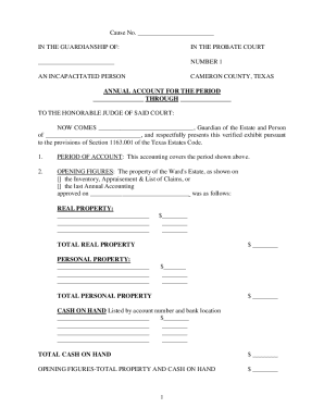Texas Annual Guardianship Account Form