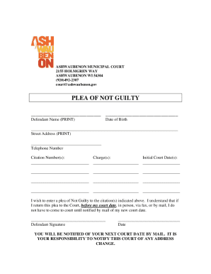 Plea of Not Guilty Form