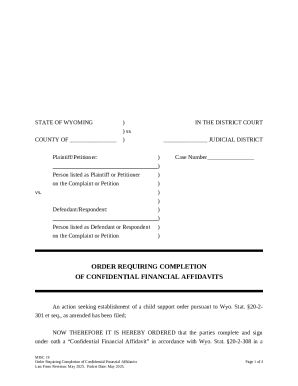 Wyoming Confidential Financial Affidavit Order