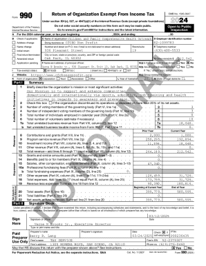 IRS Form 990 2024