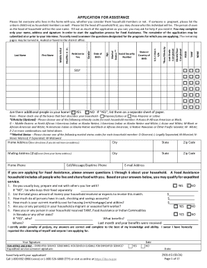 Nevada Application for Assistance
