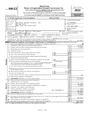 Form 990-EZ Tax Return