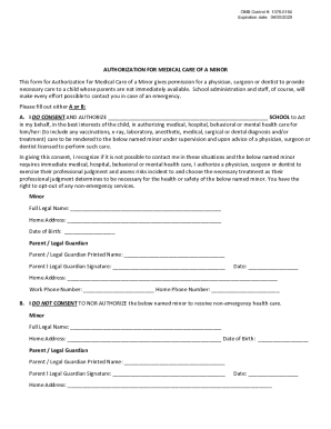 Authorization for Medical Care of a Minor