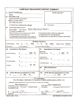 Campaign Treasurer's Report