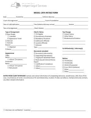 Criminal Arraignment Intake Form
