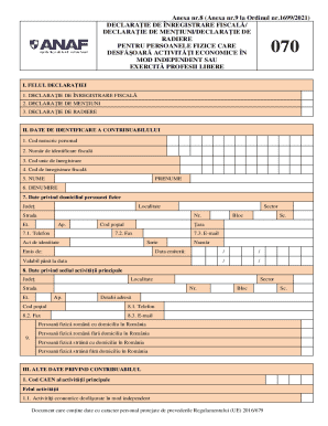 Romanian Tax Registration Declaration