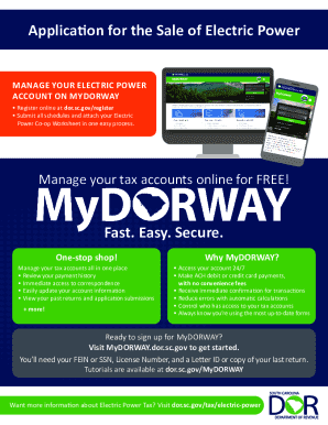 South Carolina Electric Power Sale Application