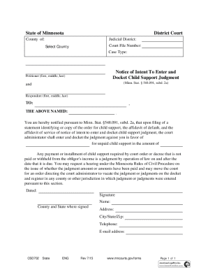 Notice of Intent to Enter and Docket Child Support Judgment