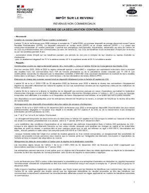 French Non-Commercial Income Tax Form 2035-SD