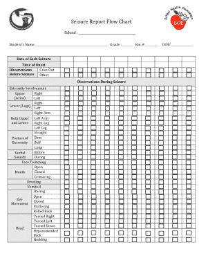 Seizure Report Form