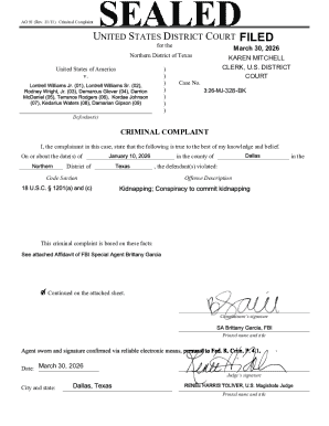 Criminal Complaint Form AO 91