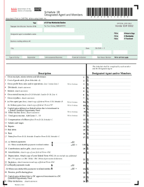 DC Combined Reporting Schedule 1B