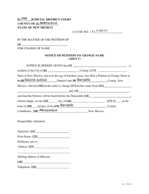 New Mexico Adult Name Change Petition