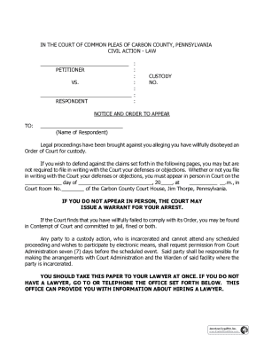 Court Notice to Appear for Custody Case