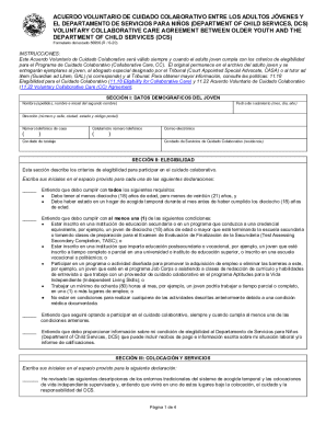 Voluntary Collaborative Care Agreement Form 56956