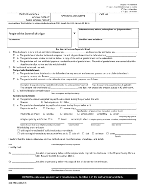 Michigan Garnishee Disclosure Form