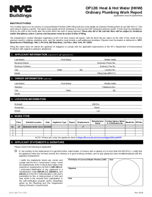 NYC Ordinary Plumbing Work Report