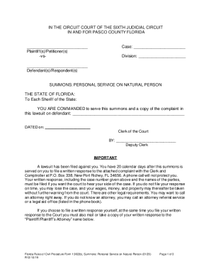 Florida Summons for Personal Service