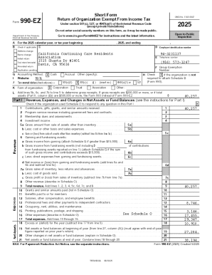 Form 990-EZ Tax Return