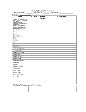 Company Vehicle Inspection Form