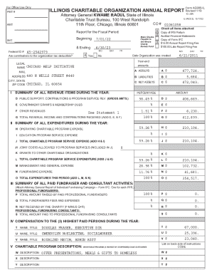 Illinois Charitable Organization Annual Report