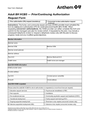New York Medicaid Adult BH HCBS Prior Authorization Request Form ...