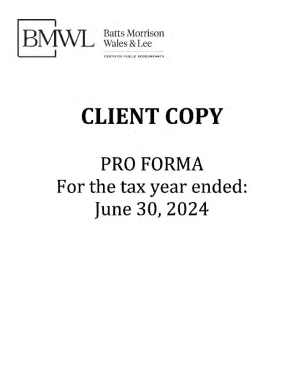 Form 990 Pro Forma Template