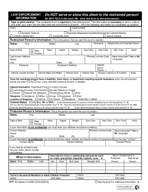 Domestic Violence Restraining Order Form