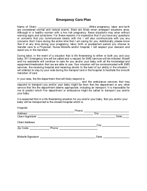 Emergency Care Plan for Pregnancy and Labor