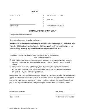 Texas Defendant's Plea of Not Guilty