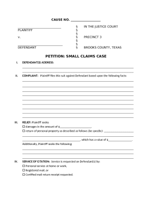 Texas Small Claims Petition Form