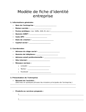 Business Identity Form Template