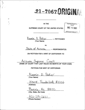 Petition for Writ of Certiorari