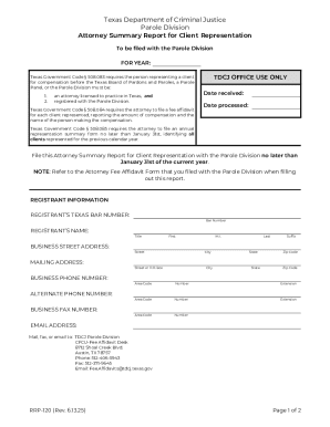 Texas Attorney Summary Report for Client Representation