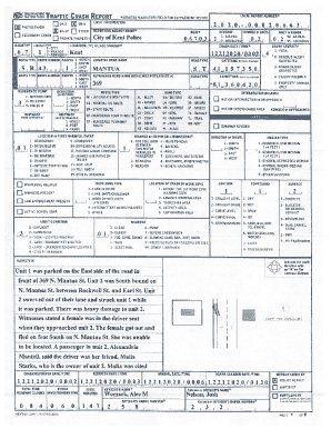 Traffic Crash Report