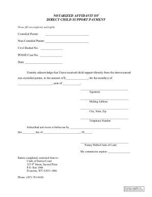 Notarized Affidavit of Direct Child Support Payment