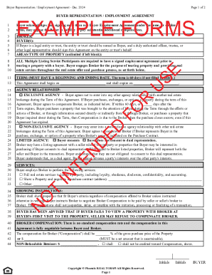 Buyer Representation Employment Agreement