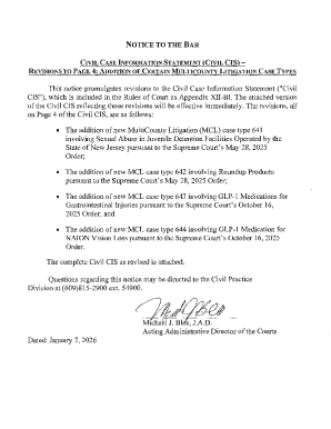 Civil Case Information Statement (CIS) Form