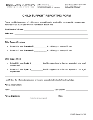 Child Support Reporting Form