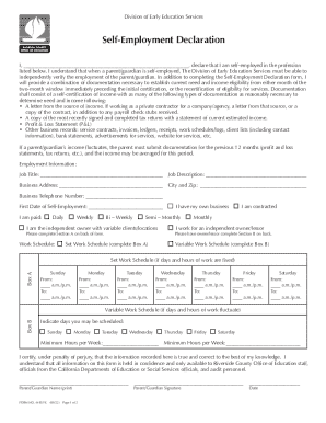Self-Employment Declaration Form