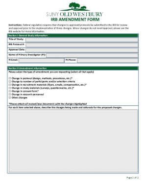 IRB Amendment Form