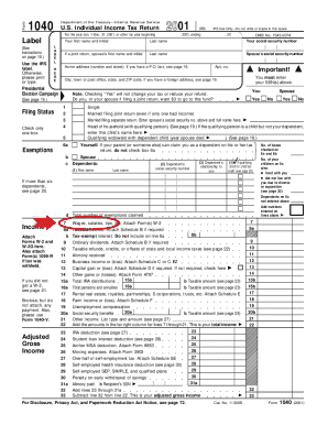 US Individual Income Tax Return 2001