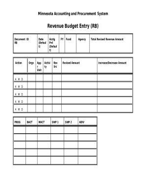 Minnesota Revenue Budget Entry Form