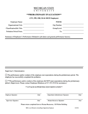 Probationary Evaluation Form