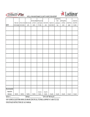 Intelli-Fin Maintenance & Safety Inspection Report