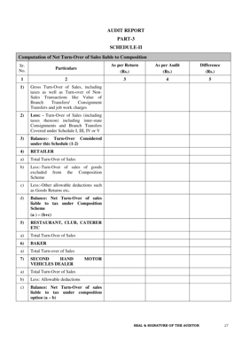 Audit Report Schedule II