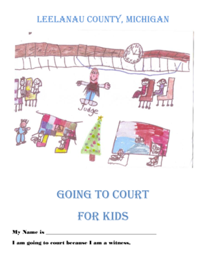 Michigan Court Activity Book for Kids